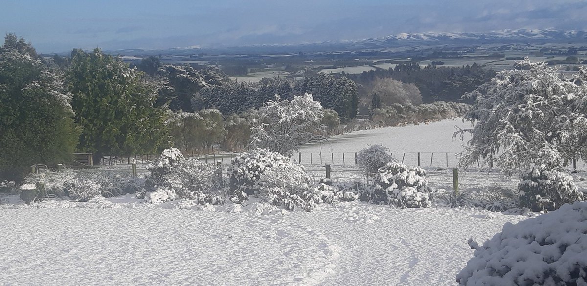 Bill McCall tweet media