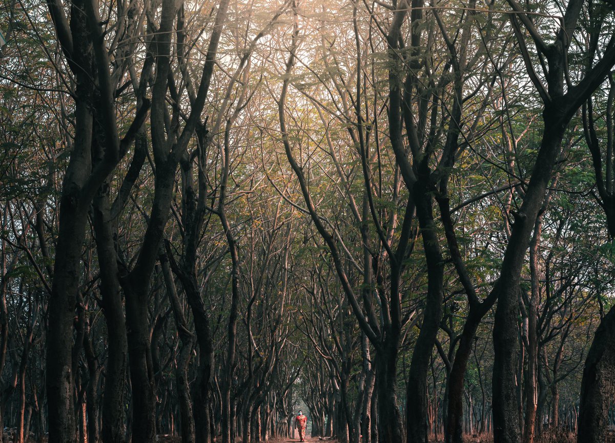 ritheesh sagar tweet media