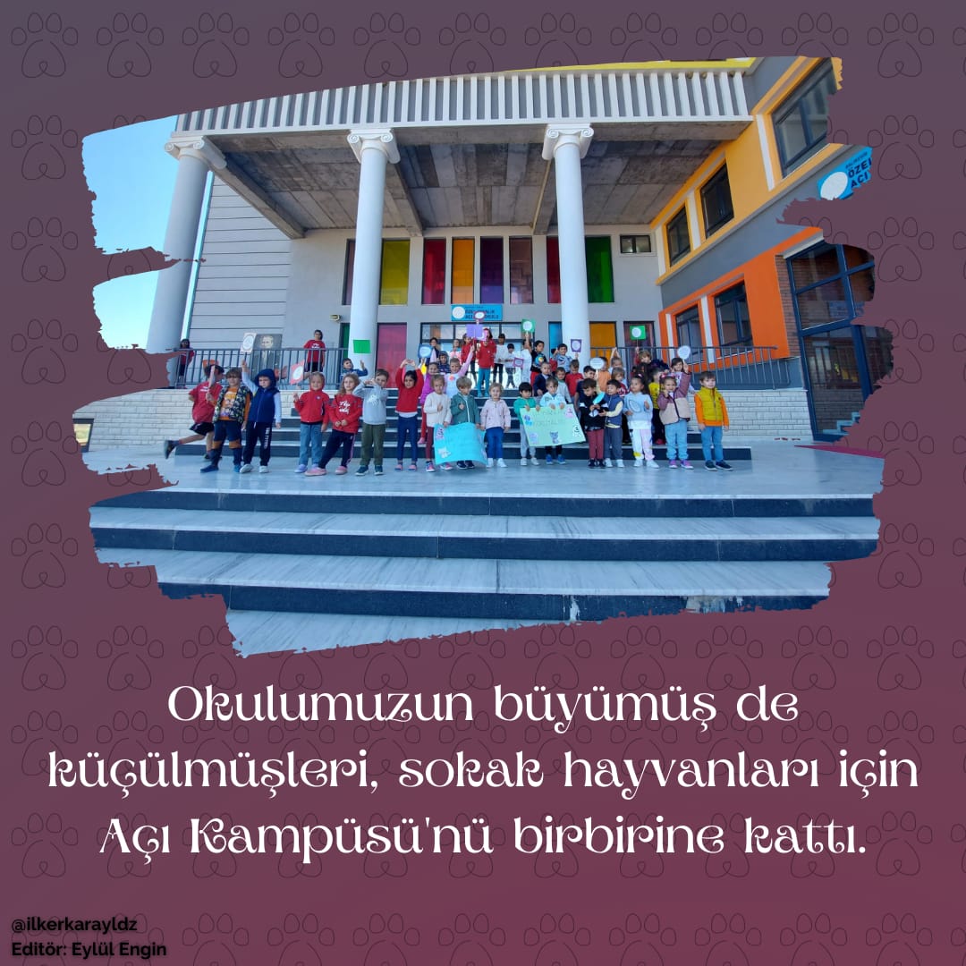 ilkerkarayldz's tweet photo. Flaş haber 😃 @ayval_ozel https://t.co/dxZ73s3Mlf