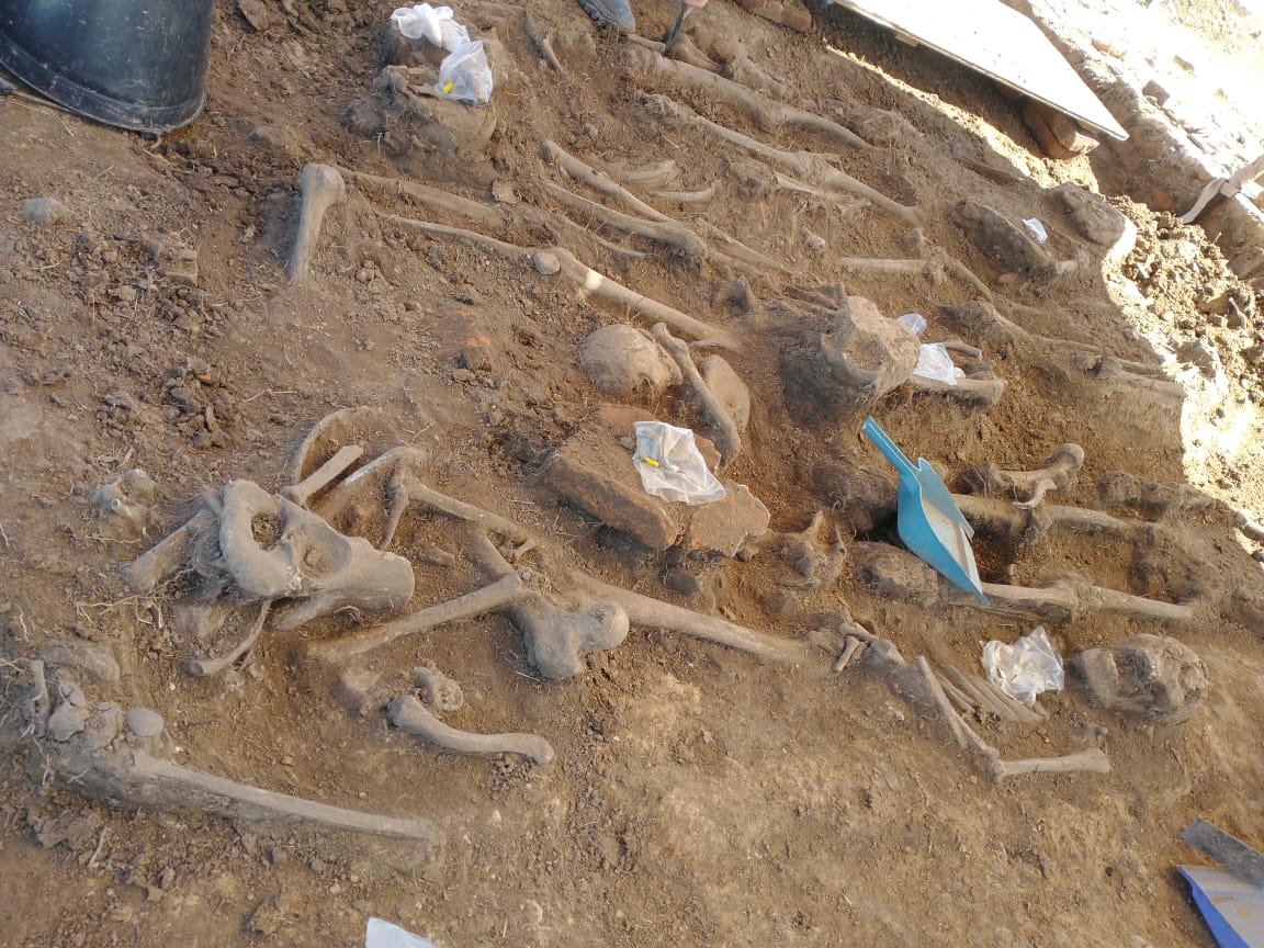 ellitoral's tweet photo. Investigadores atribuyen a las excavaciones en Melincué el mismo valor que a los asentamientos de Gaboto y Cayastá

👉Encontrá toda la información en https://t.co/ppMH3Mc7HD

 #santafe #nocturnidad #debate #candioti #ellitoral https://t.co/GfDH5fMmwo
