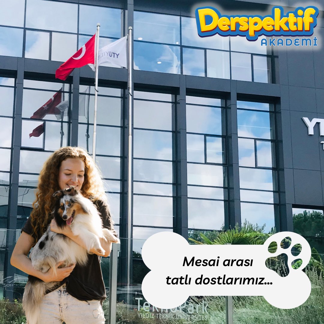 Mesai arası tatlı dostlarımız… #sendepaylaş #4ekimhayvanlarıkorumagünü #derspektif #hibriteğitim #sanalkoç