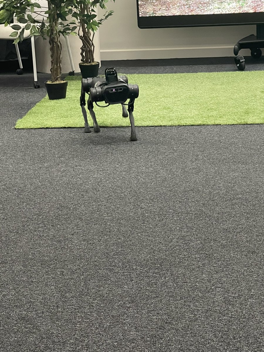 Lara Ratnaraja tweet media