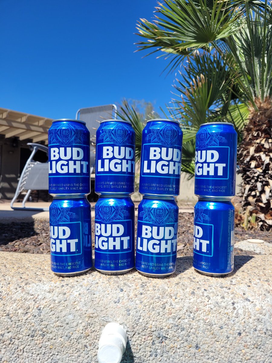 UmpireRod's tweet photo. Happy Tuesday #budlights #azsun https://t.co/AEwdCNVPyH