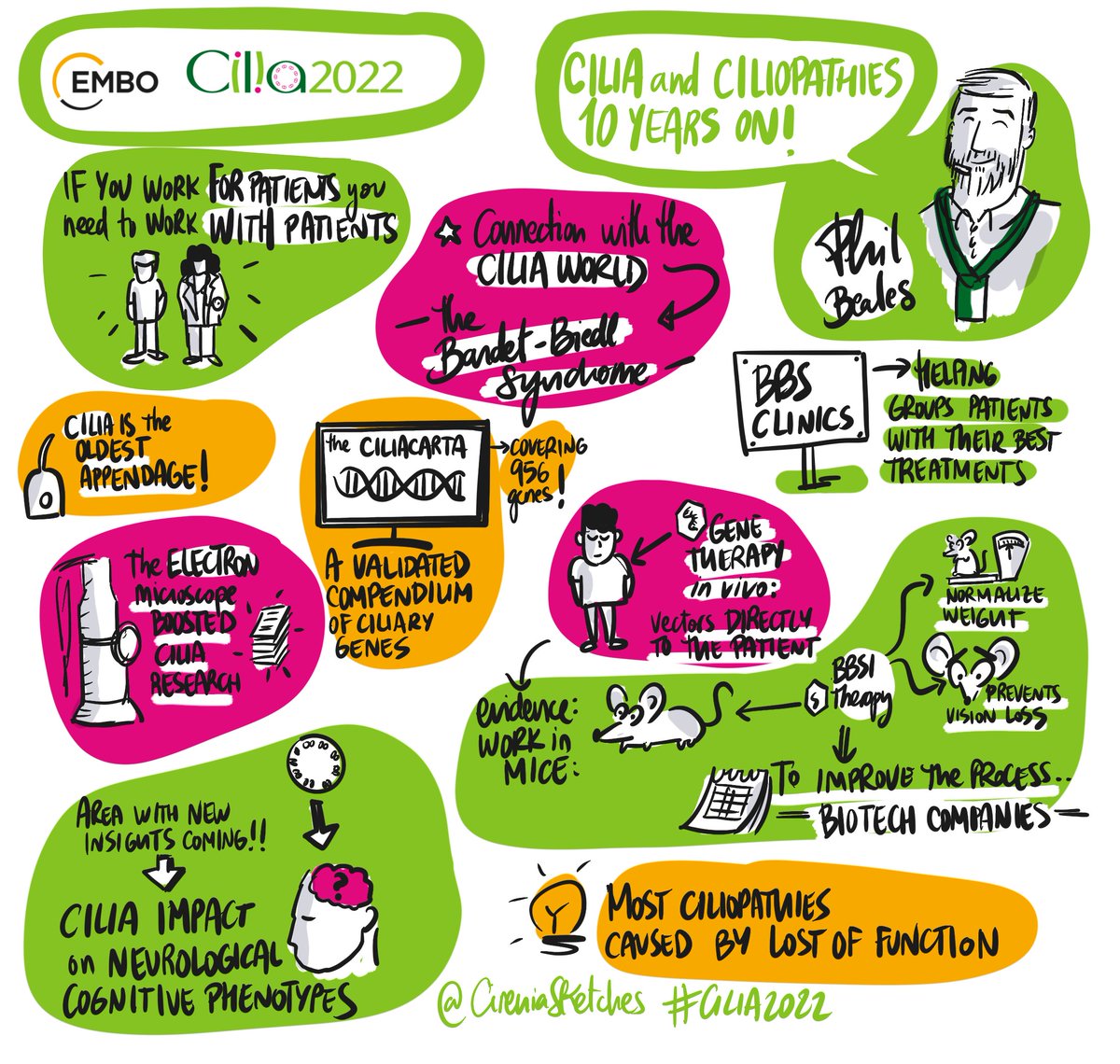 Phenomenal graphic @CireniaSketches on our kick-ass keynote Phil Beales reflecting on the European #Cilia Meeting 10 yrs on- we have come a long way, baby! #raredisease #ciliopathies #patientvoice #BBS @CiliaAlliance More great things to come- what are you waiting for? #cilia2022
