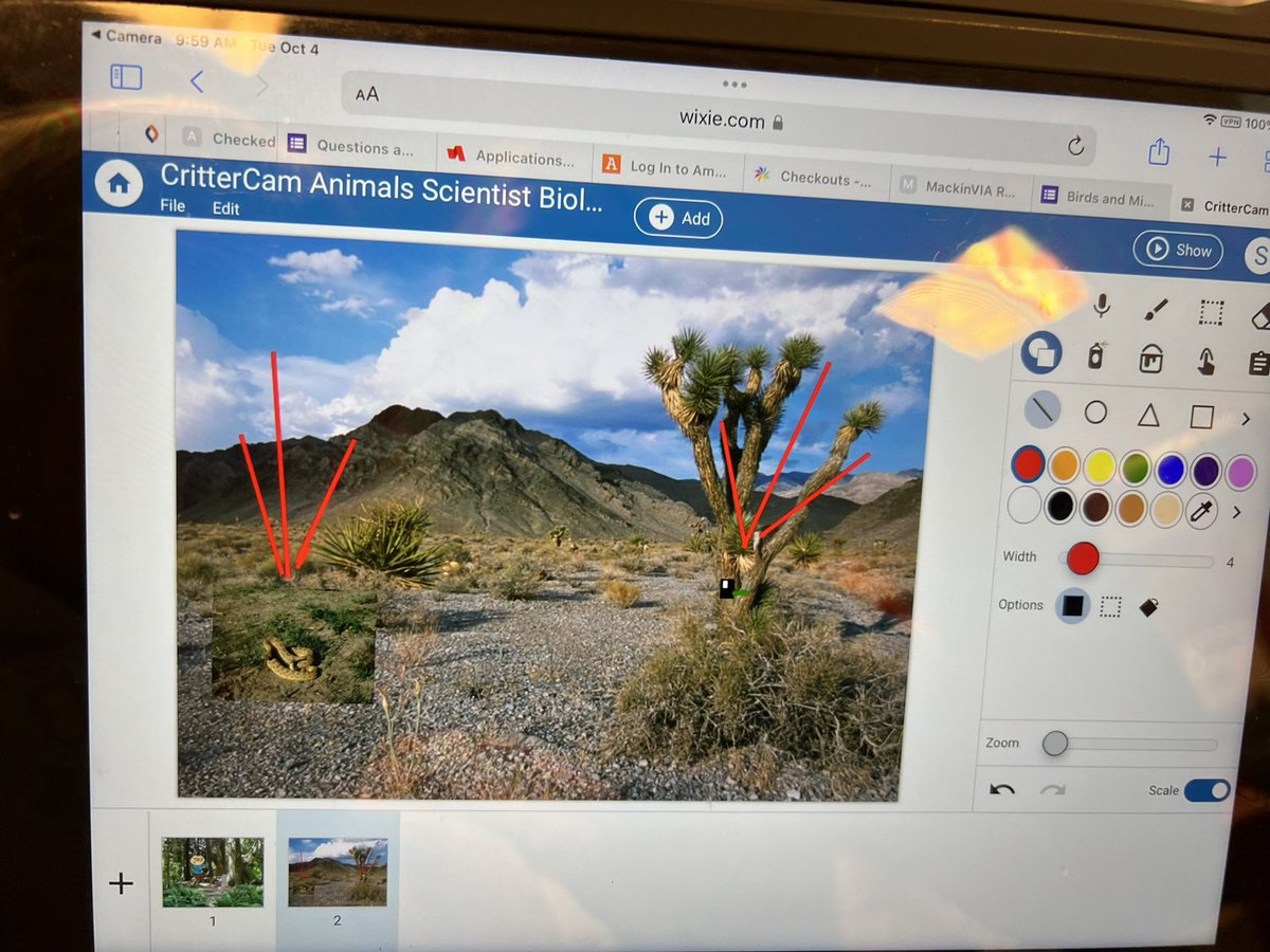 Project Discovery tweet media