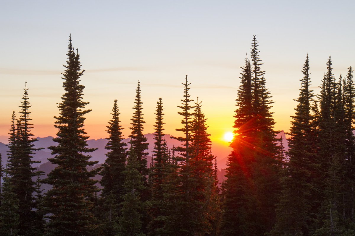 ForestServiceNW's tweet photo. “There are no words that can tell the hidden spirit of the wilderness.”

—Theodore Roosevelt https://t.co/jLji49jWy4