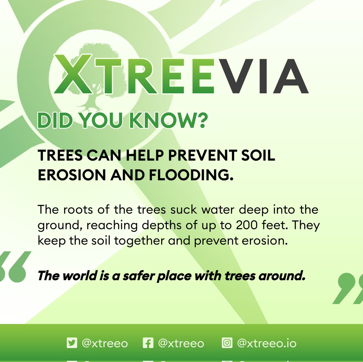 Did you know❓

Tress can help prevent soil erosion and flooding.

' The world is a safe place when trees around. '

🌿 XTreevia

#NFTCommunity #NFT #ETH #XTreeO  #xtreeordinary #environmentfriendly #treeplanting #savetheearth #savelives