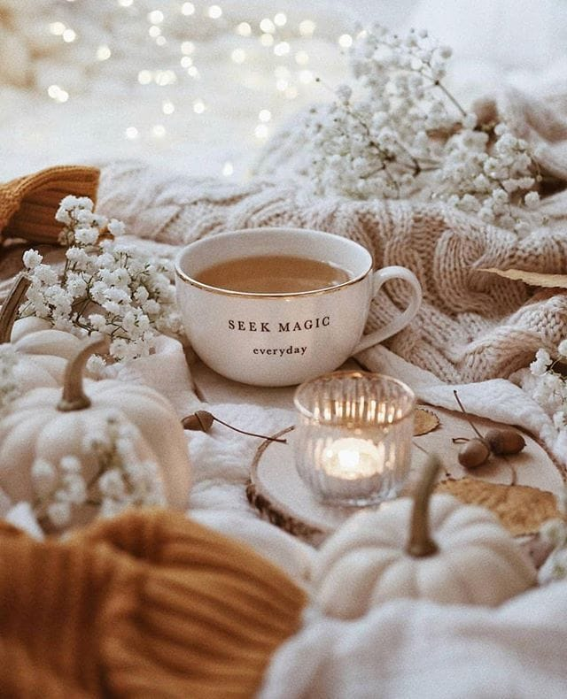 ChealseyWalber1's tweet photo. Good Morning Tuesday
#AutumnVibes #Fallfeels #Octobermorning https://t.co/CI0IZRy19A
