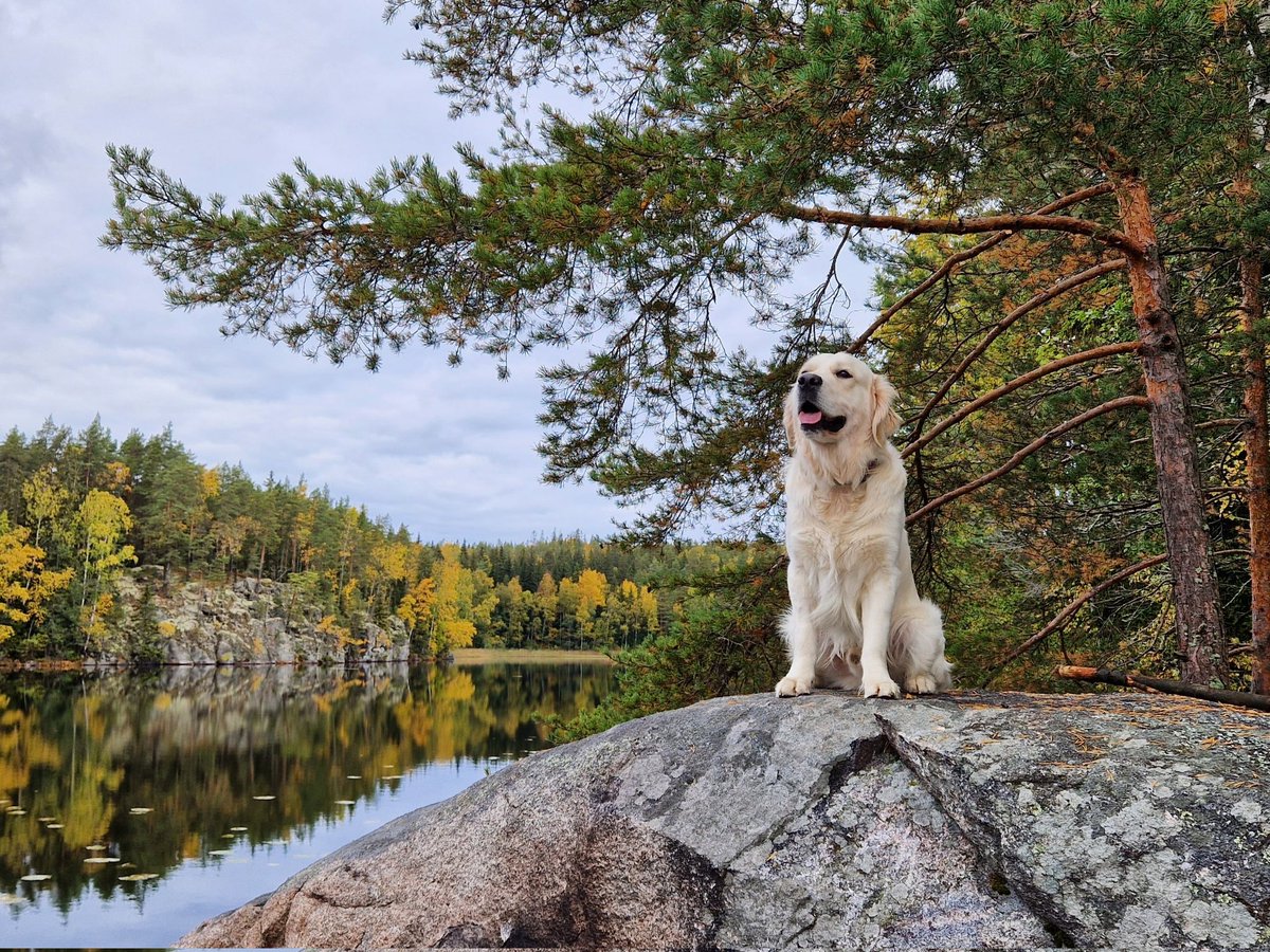 Hyvää eläinten päivää! 4.-10.10. vietetään eläinten viikkoa. 

#eläintenviikko