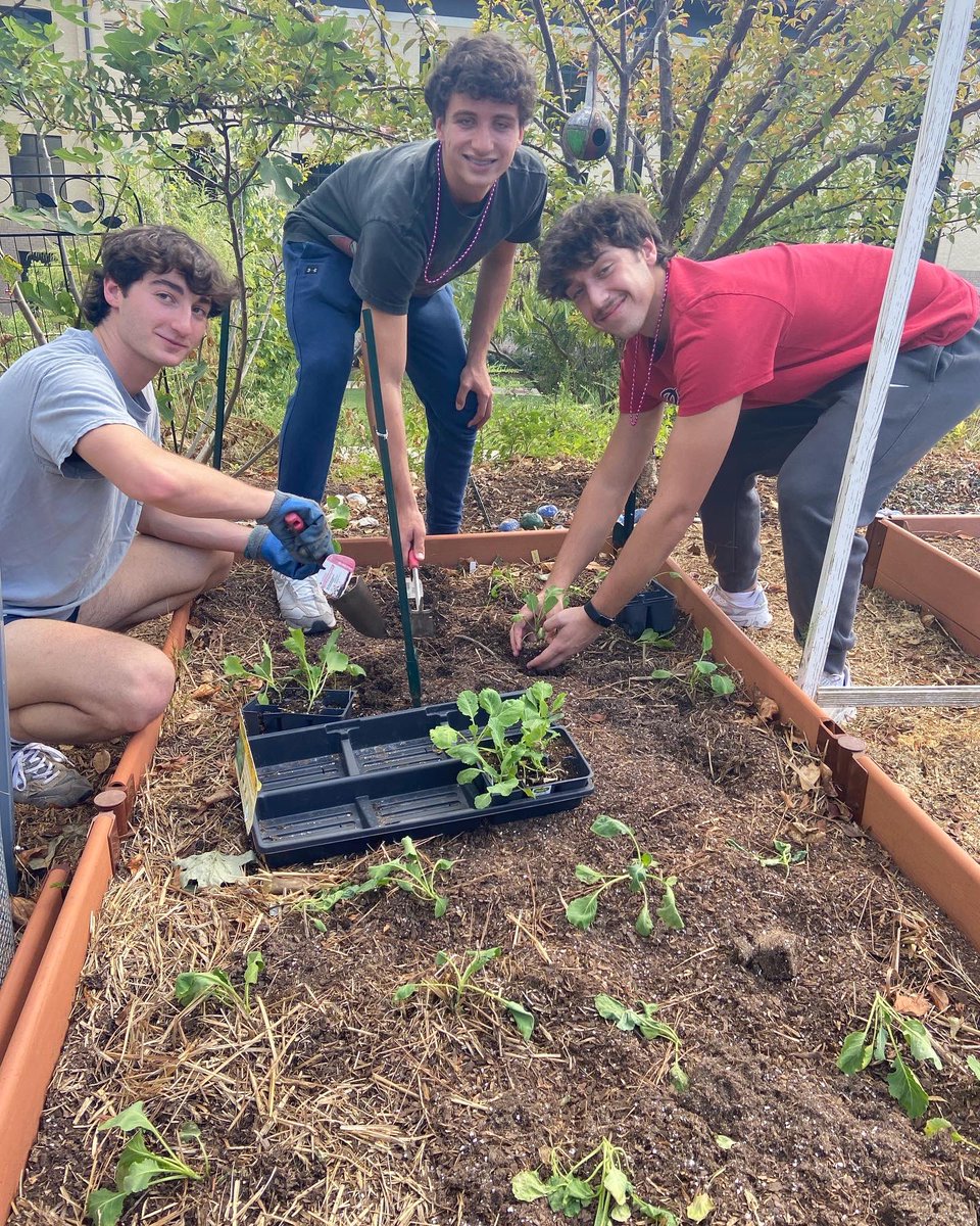Winter garden in with these fabulous new markers made by the maker space! You ready chef <a href="/RICSculinary/">RICS Culinary</a> ? We put in beets, carrots, collards, cabbage, Brussels sprouts and broccoli. <a href="/WholeKidsFnd/">Whole Kids</a> <a href="/RICSFoundation/">RiverwoodFoundation</a>
