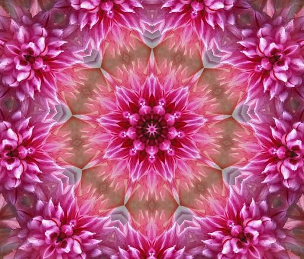 Ishanam2's tweet photo. ✨BLESSINGS ✨ from DIVINE FEMININE 💙💗💙💗💙 --- she is a concentration of divine wisdom gathered over the years,blended with all the knowledge of Physical🌍 & Astral💫 #navratri2022 #Navratri #ninenightsofdevi https://t.co/Cdkc122goS