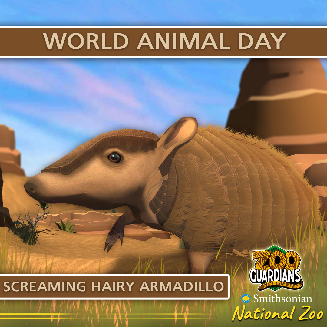 ZooGuardians's tweet photo. Waddle, leap or roll into #WorldAnimalDay! 🐾 Join us at #ZooGuardians in the global effort to raise awareness and improve the welfare standards of animals.  Help make the world a fairer place for all of them. Raise your awareness and education when you download #ZooGuardians! https://t.co/vPohqYQETR