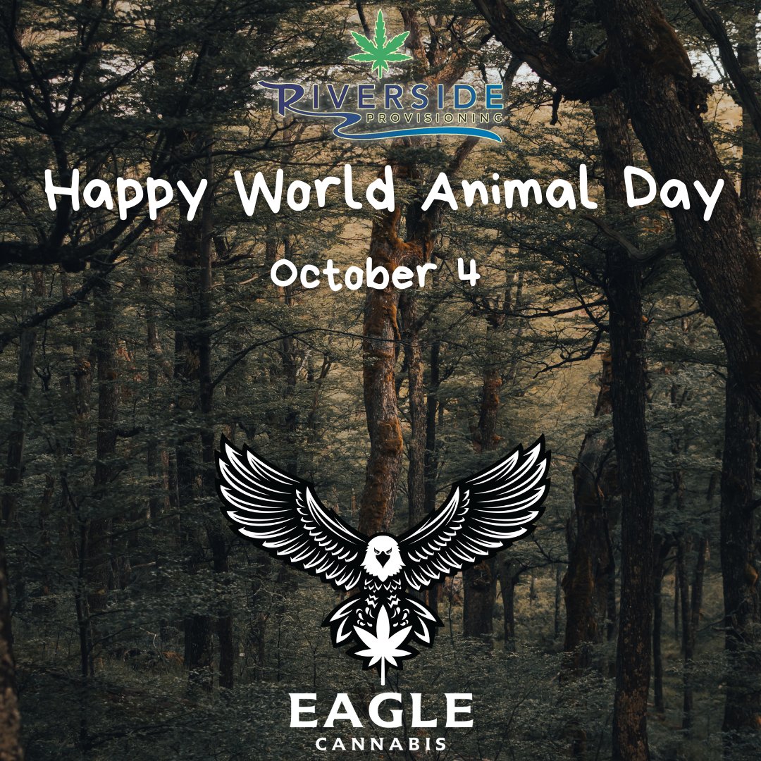 riverside_pro's tweet photo. Happy World Animal Day! 
Saving the animals help save the world. Riverside Provisioning and Grow have chosen the Bald Eagle to represent our Business and love for nature. https://t.co/H78nFNNLOm