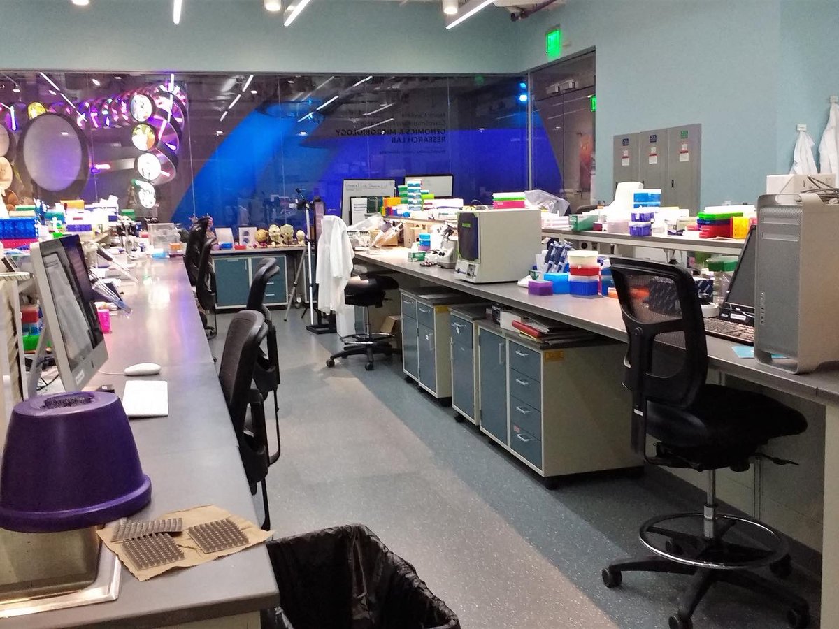 Genomics & Microbiology Research Lab tweet media