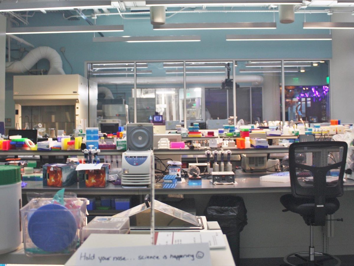 Genomics & Microbiology Research Lab tweet media