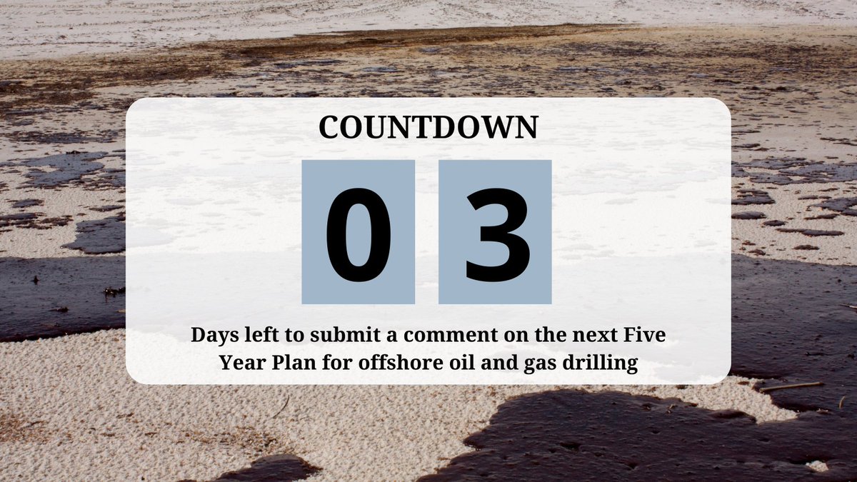 Surfrider Northeast tweet media