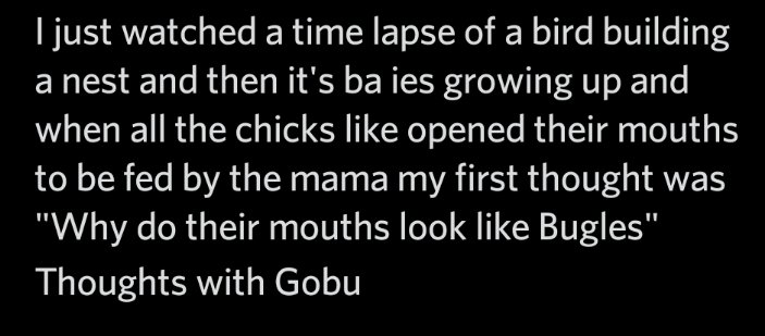 xoAidolicious's tweet photo. Shit Gobu Says #18: https://t.co/KVQlnRVA1Q