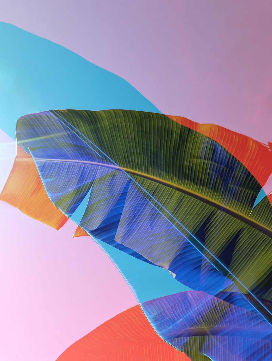 Caribbean Prism was created as redemption to light, a transcendental perspective project of the Caribbean nature world.

Each piece is unique and unrepeatable, created by <a href="/Gab__K/">Gabriel Karlo ✦</a> Puertorican multimedia artist.

<a href="/CaribbeanPrism/">Caribbean Prism ✦</a> this Thursday at 2PM UTC

#beyondthewalls