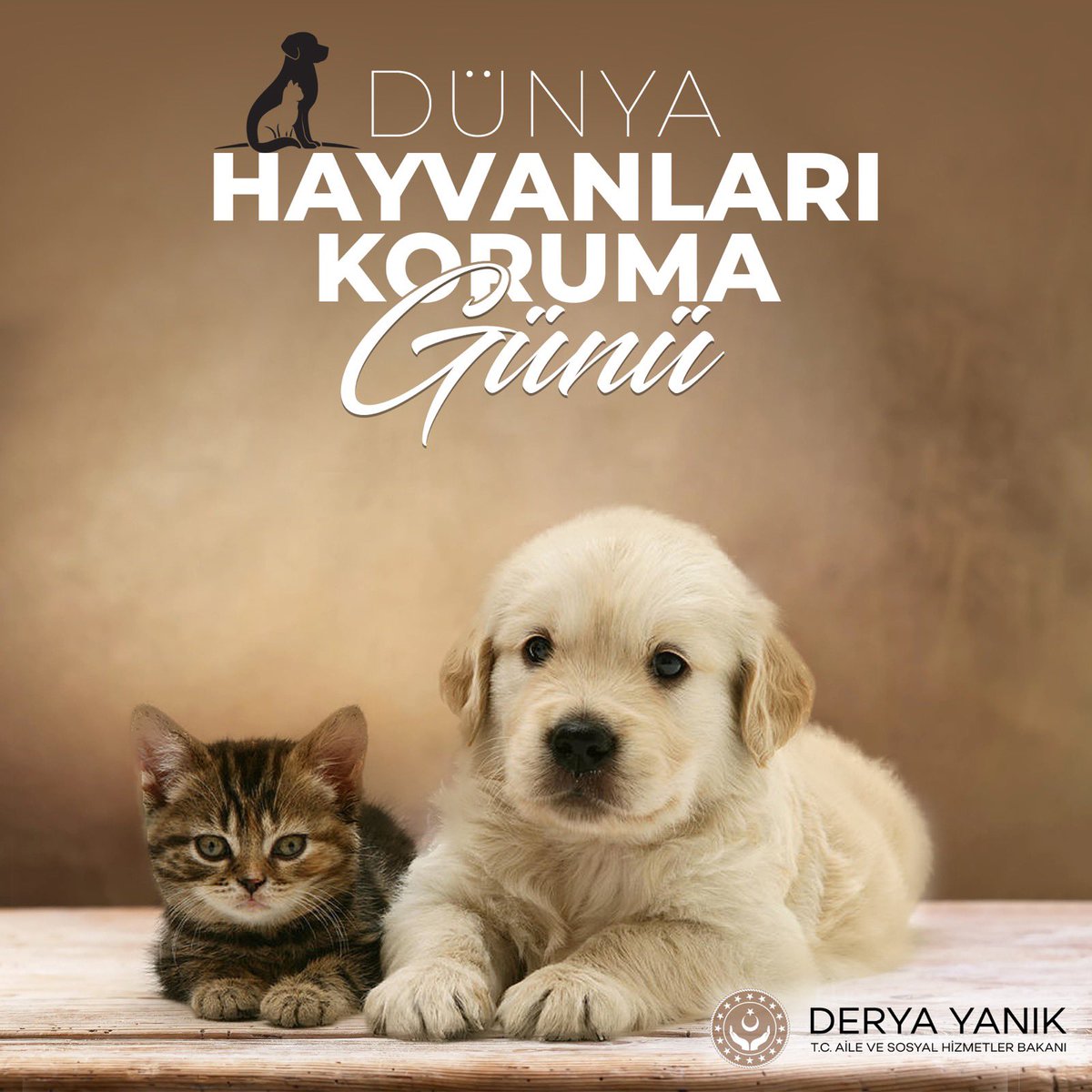 Dünya hepimizin.🐈 🐶 🕊

Hayatı paylaştığımız, kalbimizi yumuşatan can dostlarımızı çok seviyoruz.

#4EkimHayvanlarıKorumaGünü kutlu olsun.