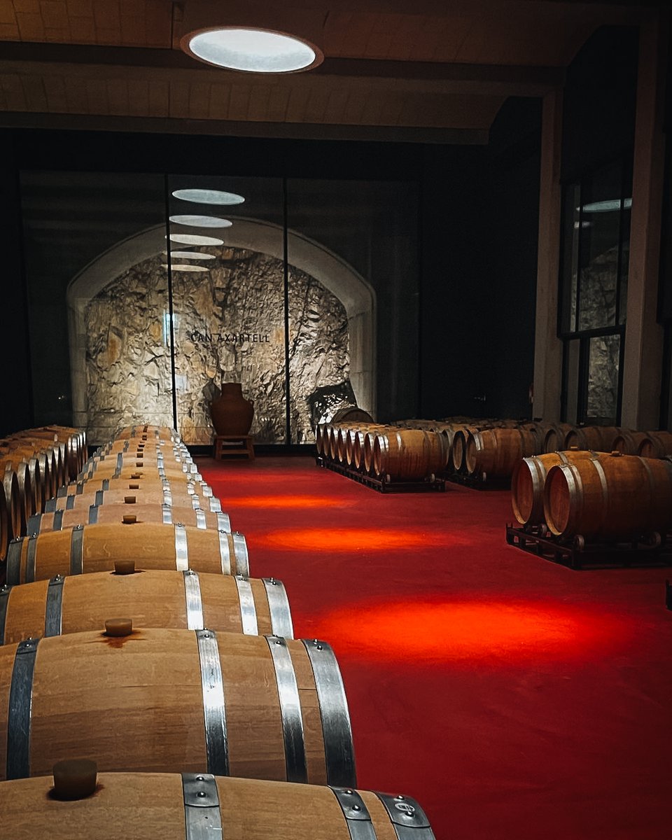 CanAxartell's tweet photo. You can now book Group or Private Tastings via our website! Here are a couple of things you need to know before booking.

👫 Group tastings:

👉 Guided group tour: minimum 4 people &amp; maximum 10 people.
👉 Tasting of 6 wines &amp; typical Mallorcan food included

📸 inkaeg (IG)

1/3 https://t.co/ZO9UZg1Z06