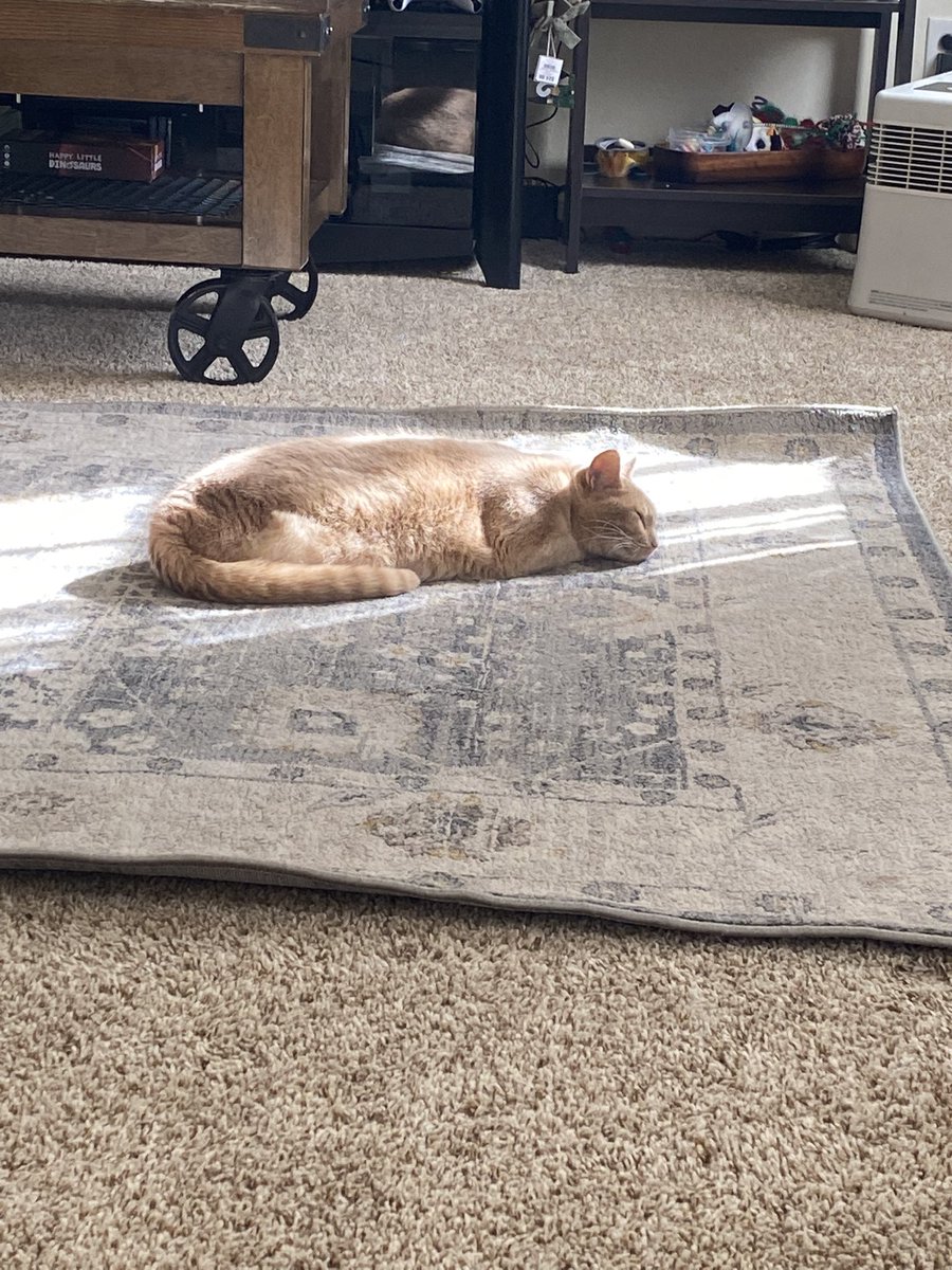 Deatholate's tweet image. Look at him slumber