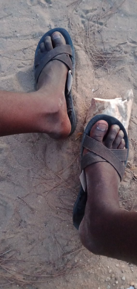 Tedd Saha tweet media