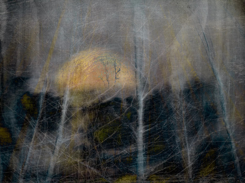 This is an image by Iveta Lazdina, one of our talented photographers exhibiting at the Abstract Rhythms show at the <a href="/thehorsebridge/">Horsebridge Centre</a> from November 16th - To register for the opening evening soiree to meet the artists and all the workshops and talks visit arbnexhibition.co.uk