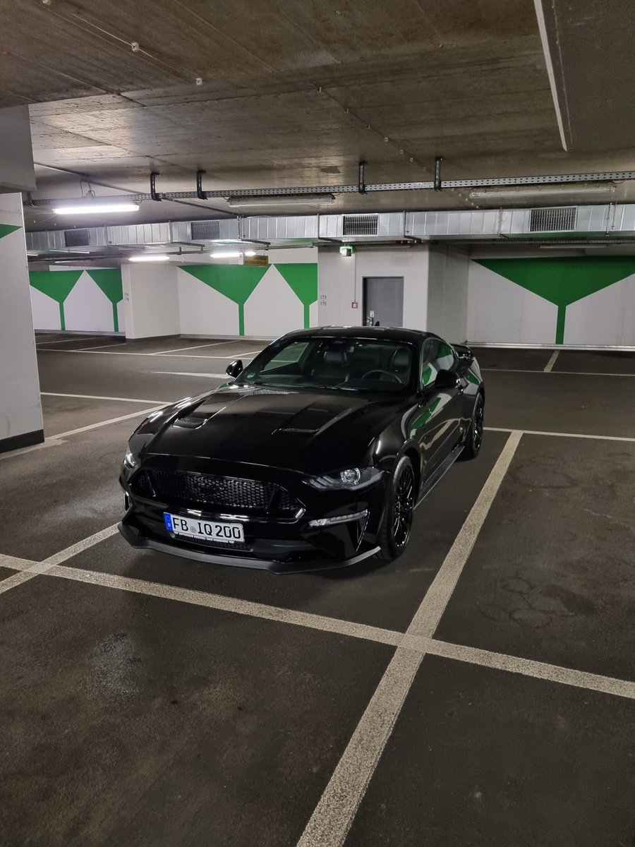 got myself a horse 🐎