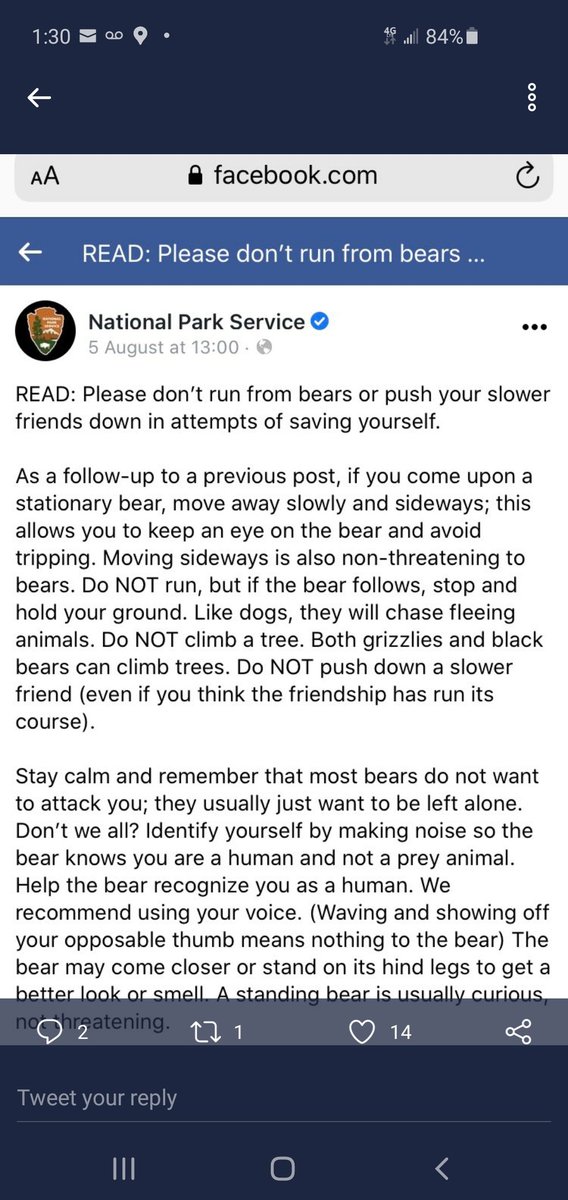 BlisterPearl's tweet photo. @OKWildlifeDept 🐻 https://t.co/O6SUSy2wS9