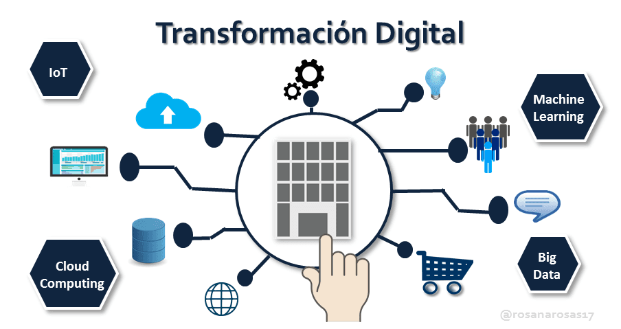 Cetosis transformacion