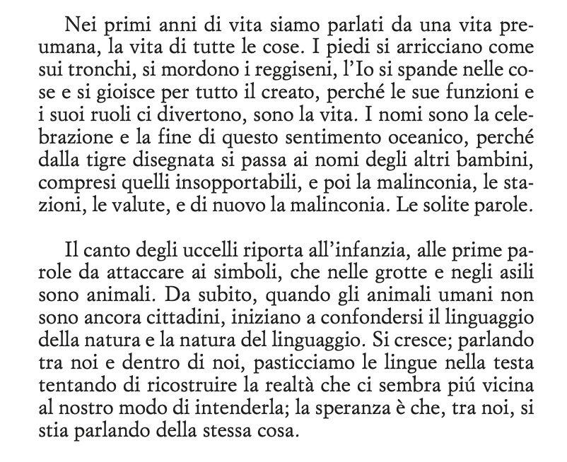 brillano's tweet photo. Martedì 11 esce una cosa che ho scritto per i Quanti di @Einaudieditore. Si chiama "Fare i versi", il sottotitolo dell’editore la riassume mirabilmente (poesia infanzia apocalisse) e si trova già qui https://t.co/xhAFFtqmn7 https://t.co/ZfoaHKOIEo