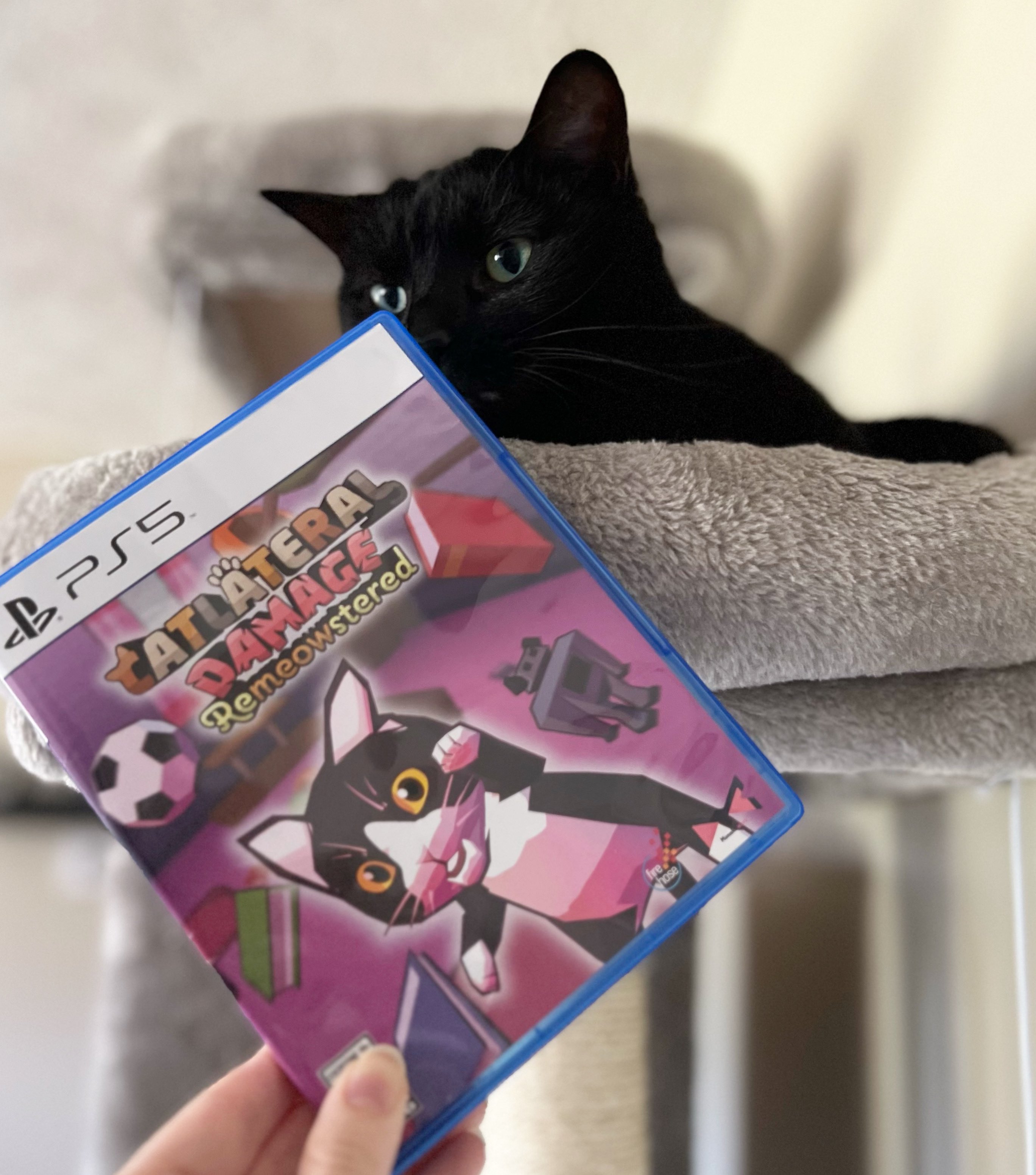 Catlateral Damage: Remeowstered chega com garras afiadas hoje no Xbox One e  Xbox Series X