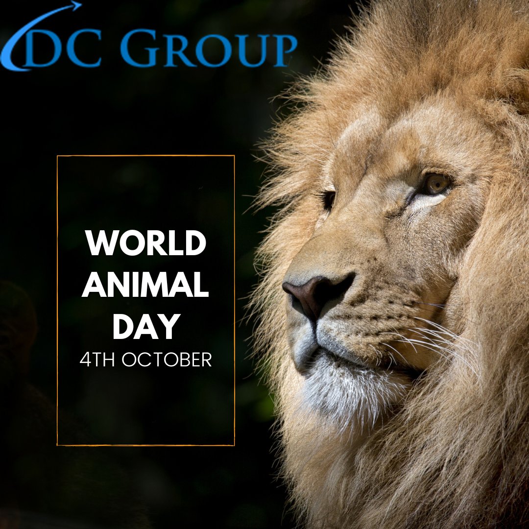 DCGroupLTD tweet picture