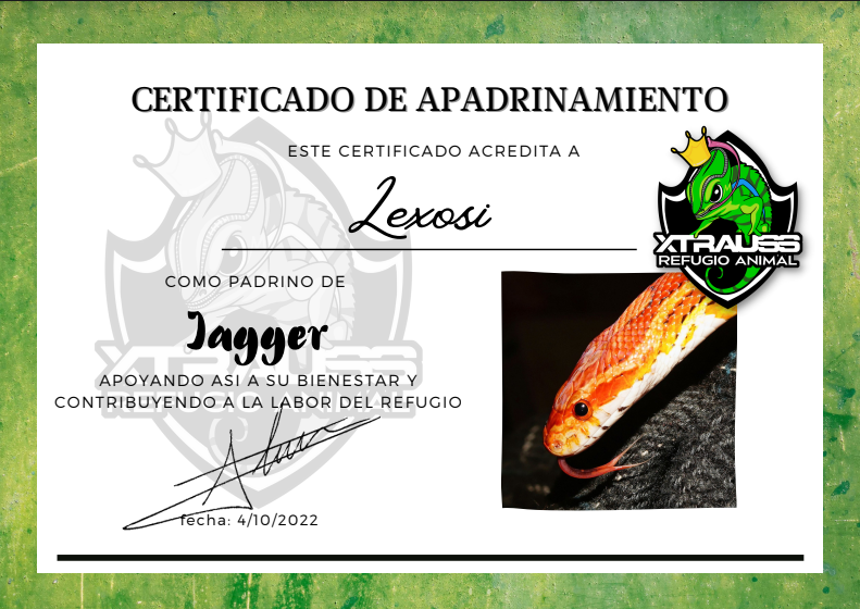 lexosi_'s tweet photo. La gente que hace años que me sigue sabe que tengo fobia a las serpientes, pues bueno hoy gracias a mi amigo @Xtrauss he apadrinado a una serpiente del refugio @Xtrauss_Refugio 
Uno ha de saber enfrentarse a sus miedos y aquí estoy yo apadrinando una serpiente. https://t.co/TPS8SoLrQA