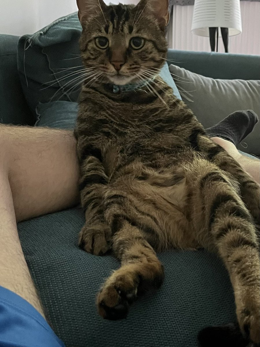 mpalagiaEPU's tweet photo. #WorldAnimalDay #WorldAnimalWelfareDay #παγκοσμια_ημερα_ζωων #animal #lakis thank you!!! https://t.co/YxkeCu3Pmn