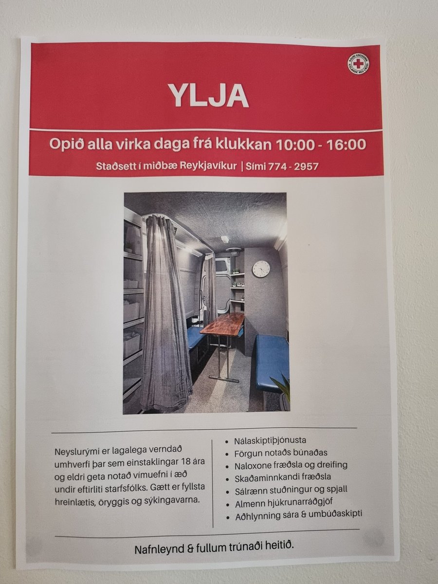 bara ef einhver þarf