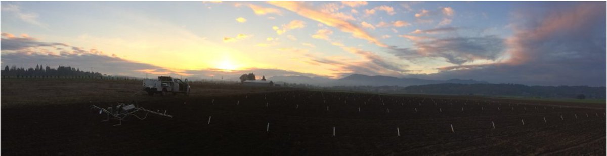 WSUSmallGrains's tweet image. Time to mark your calendar to attend the 2022 Annual Meeting of the Oregon Society of Weed Science (OSWS) in person! Our latest #TimelyTopic includes details about what&apos;s presented, credits offered, where to register, and more. Check out the link below 👇
smallgrains.wsu.edu/oregon-society…