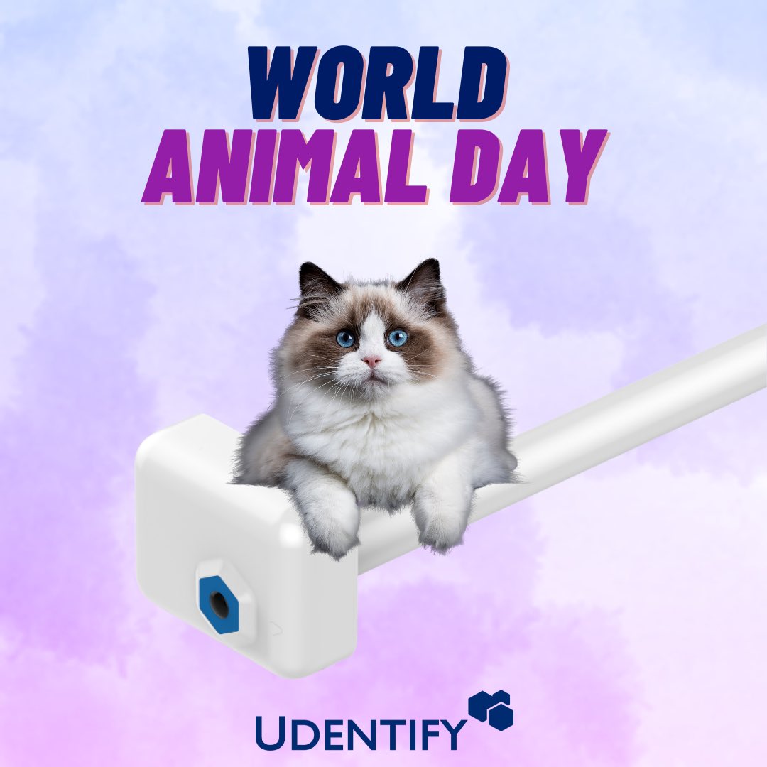 Udentify tweet media