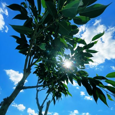 TailgateJR's tweet photo. #NewProfilePic https://t.co/E6ct5wZsE8