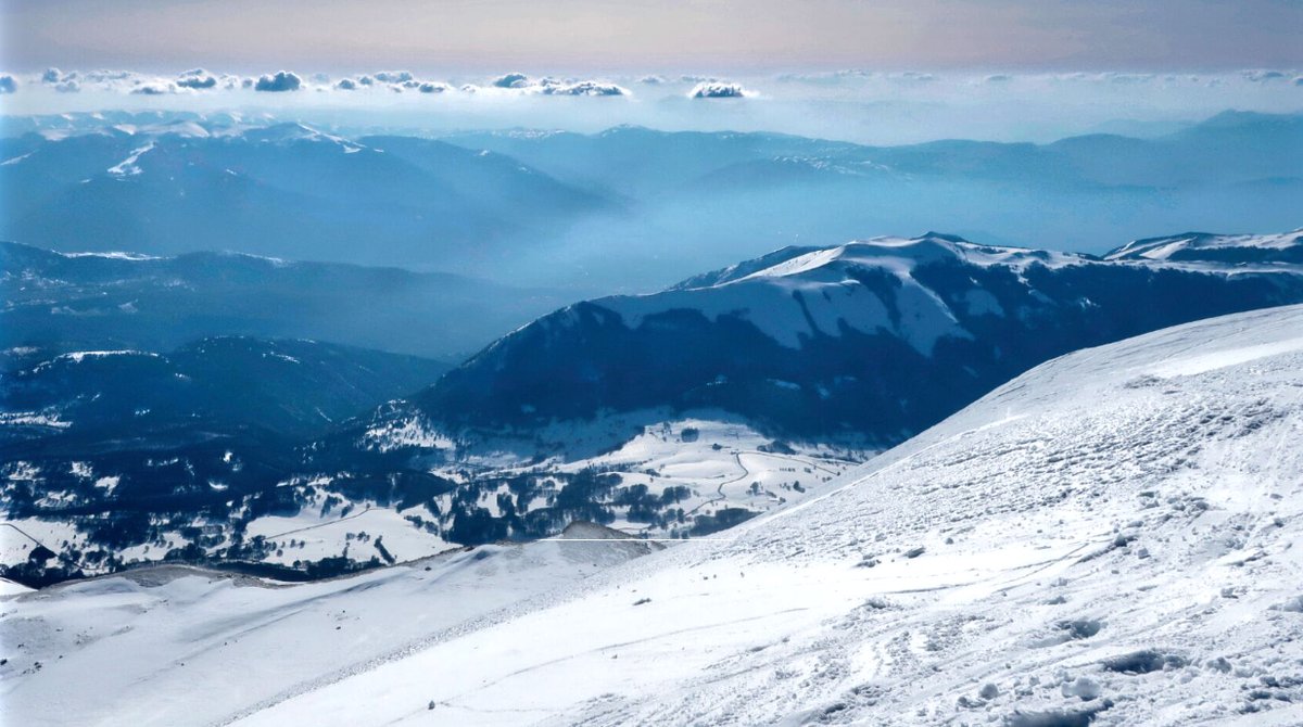 Al Powell tweet media