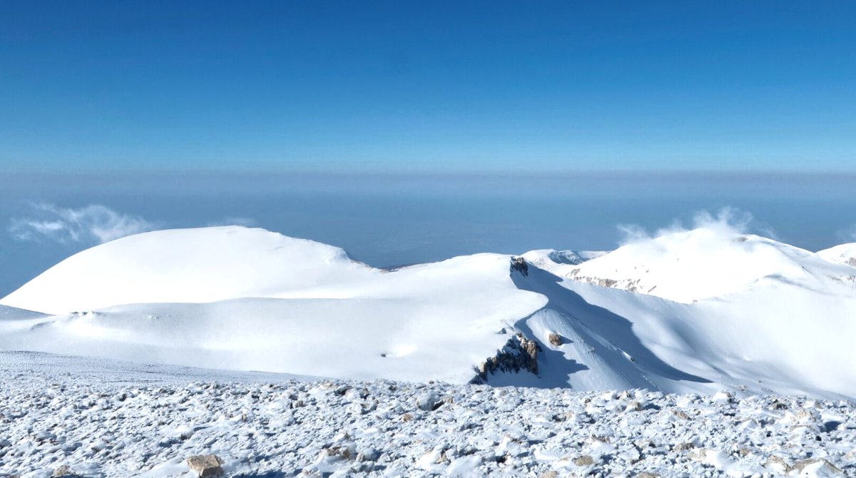 Al Powell tweet media