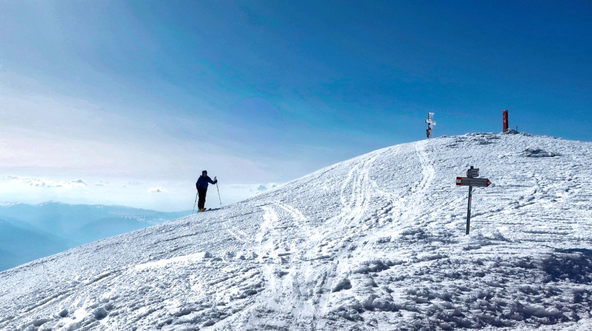 Al Powell tweet media