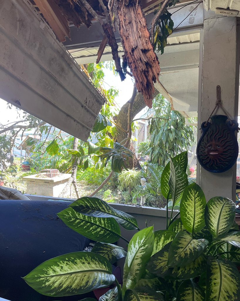 Moondancer.dao 🐚 🌚🌛🦉 tweet media