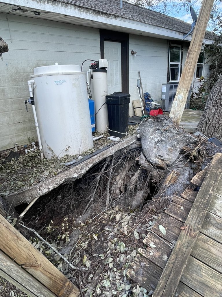 Moondancer.dao 🐚 🌚🌛🦉 tweet media