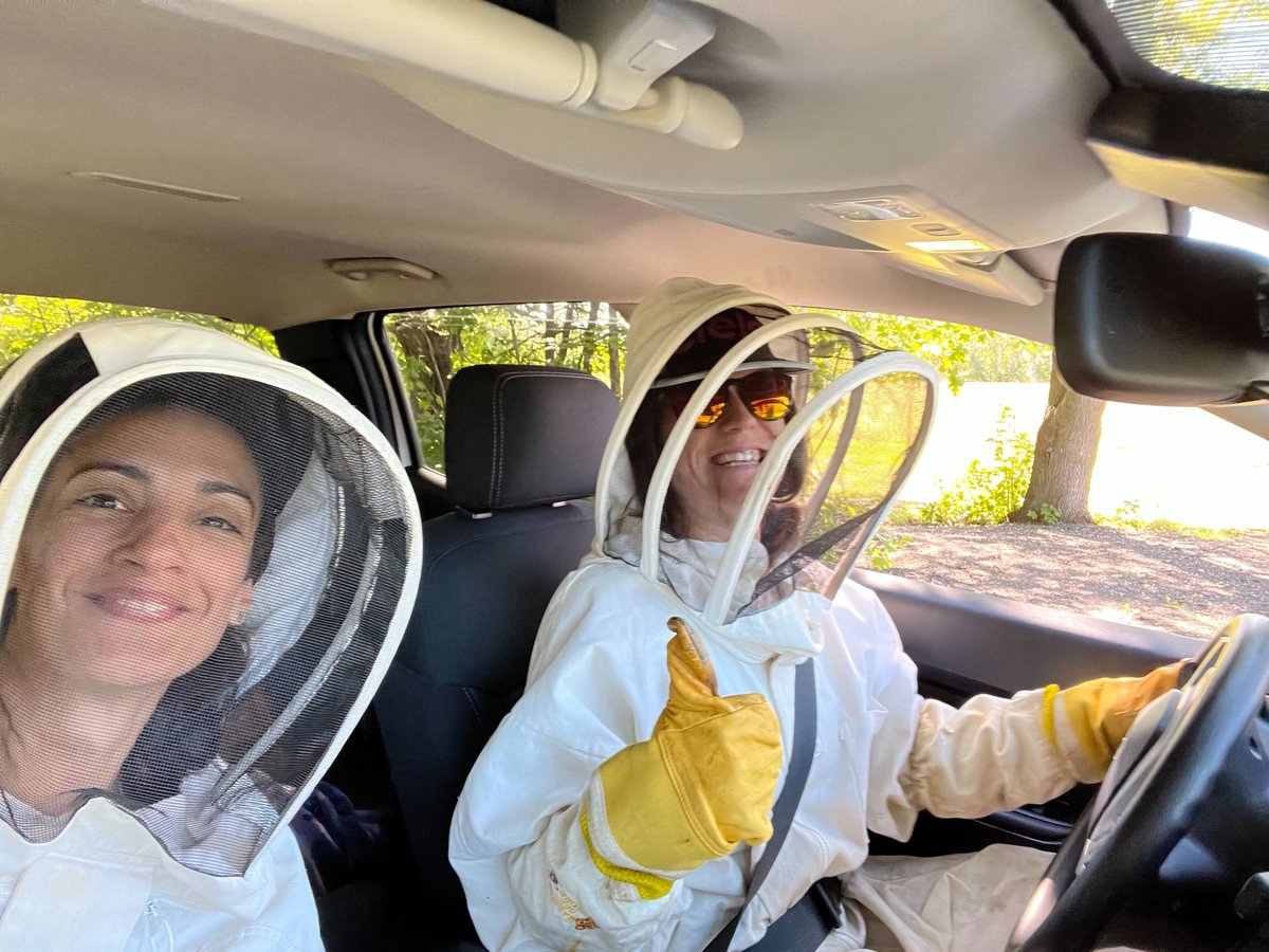nectarbuzz's tweet photo. The team has been busy at Ferme Nectar, making sugar syrup to feed the bees 🐝
We want to make sure that the hives are strong as the temperature starts dropping ❄️
#beekeeping #canadianbeekeeping #montrealtech #honeybees #precisionag #precisionfarming #modernfarming https://t.co/oRTLoAbKOt