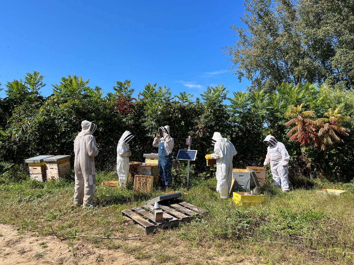 nectarbuzz's tweet photo. The team has been busy at Ferme Nectar, making sugar syrup to feed the bees 🐝
We want to make sure that the hives are strong as the temperature starts dropping ❄️
#beekeeping #canadianbeekeeping #montrealtech #honeybees #precisionag #precisionfarming #modernfarming https://t.co/oRTLoAbKOt