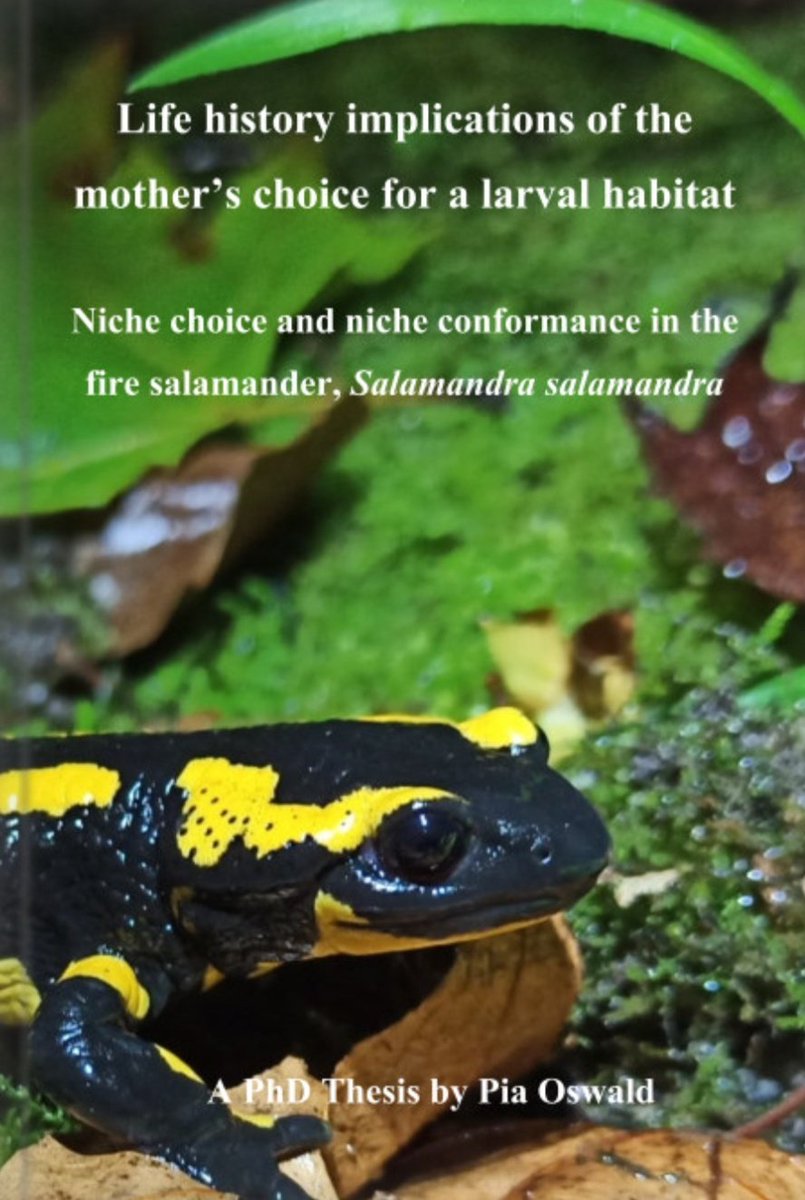 Dr. Pia Oswald tweet media