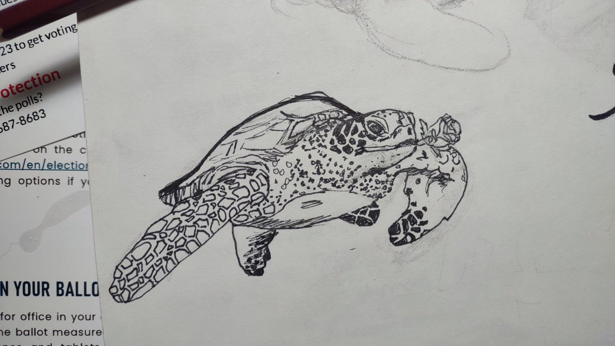 DrawsAndie's tweet photo. I had a friend ask me to draw him a tattoo, and I finally got around to it
#turtle #underthesea #tattooidea https://t.co/wZbRAbZjMs