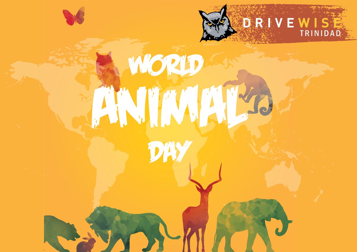 DriveWiseTT's tweet photo. World Animal Day

#worldanimalday #animals #animalday #love #animallovers #animal #animalrights  #animallover #nature #helptostreetanimals #wildlife #adopt #shelter #pets #animalrescueservice https://t.co/JET7LTZD8A