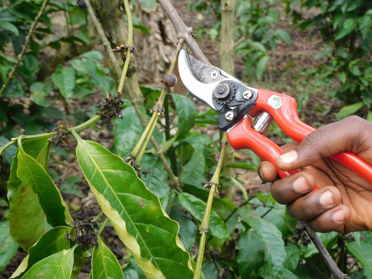 JKCC GENERAL SUPPLIES LTD tweet media